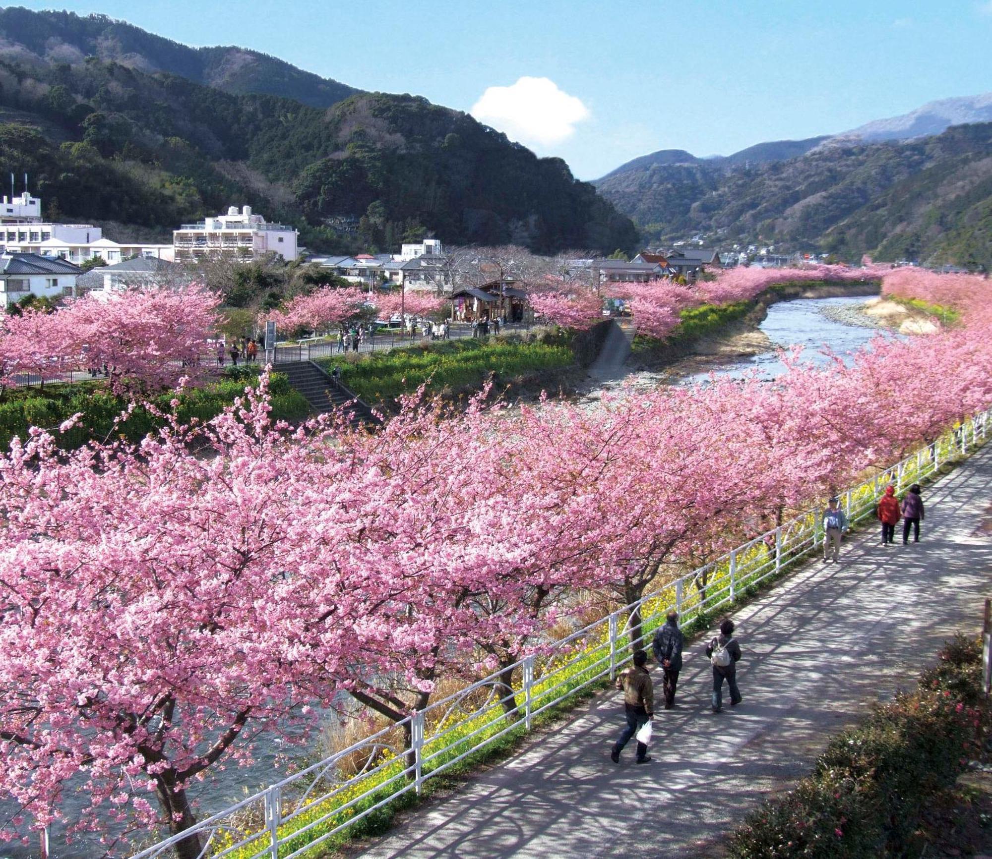 Shimoda Ocean Park Hotel Экстерьер фото